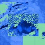 AI Surge Boosts Nvidia Amid Rising US-China Chip Conflicts